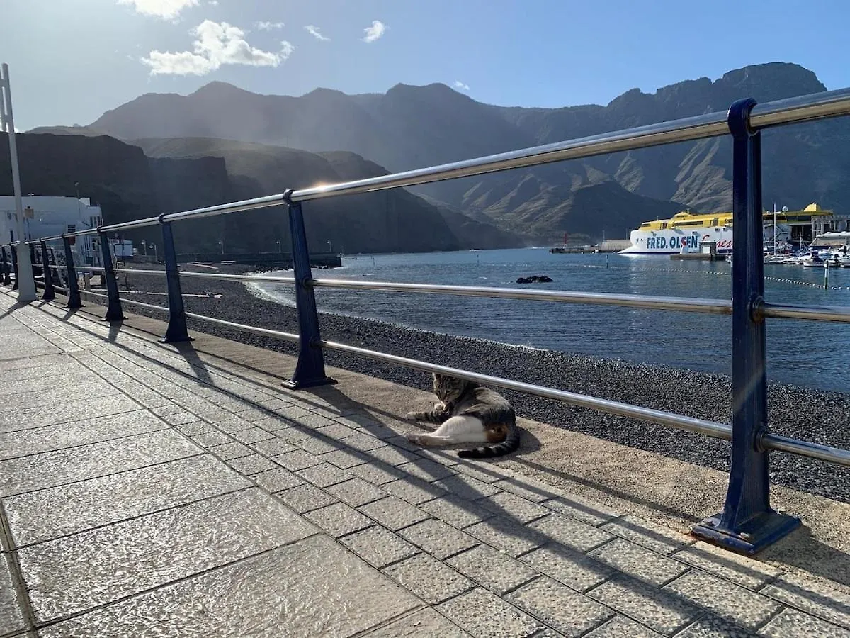 Ferienwohnung Agaete El Turman 101 Con Terraza Solarium Bbq 0*, Agaete (Gran Canaria)